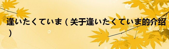逢いたくていま（关于逢いたくていま的介绍）