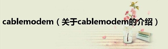 cablemodem（关于cablemodem的介绍）