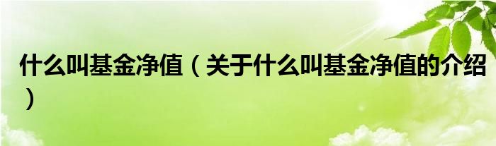 什么叫基金净值（关于什么叫基金净值的介绍）