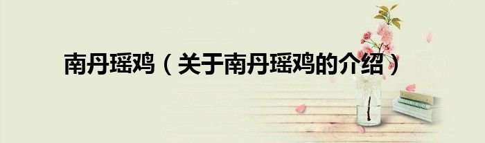 南丹瑶鸡（关于南丹瑶鸡的介绍）