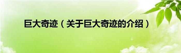 巨大奇迹（关于巨大奇迹的介绍）