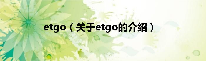 etgo（关于etgo的介绍）