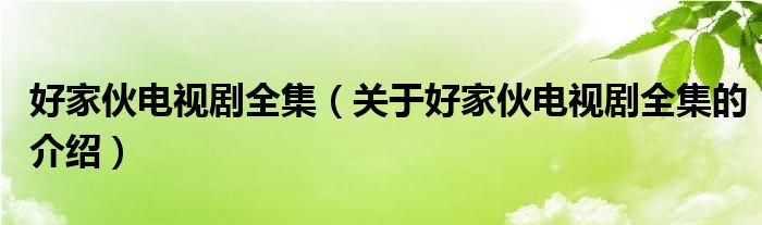 好家伙电视剧全集（关于好家伙电视剧全集的介绍）