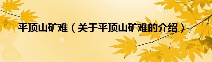 平顶山矿难（关于平顶山矿难的介绍）