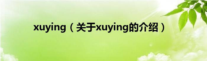 xuying（关于xuying的介绍）
