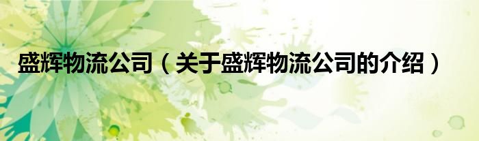 盛辉物流公司（关于盛辉物流公司的介绍）