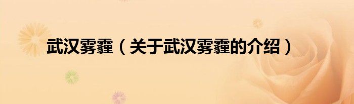 武汉雾霾（关于武汉雾霾的介绍）