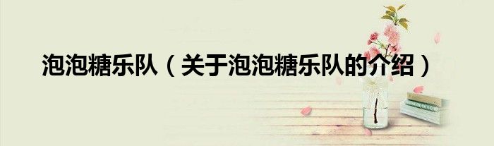泡泡糖乐队（关于泡泡糖乐队的介绍）