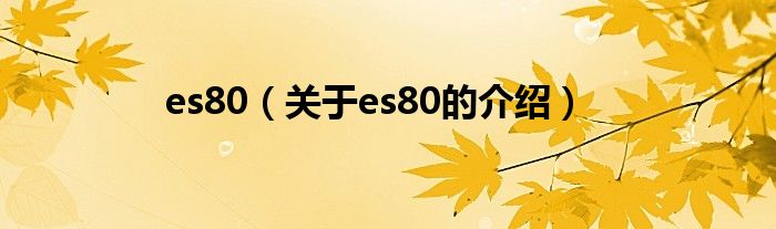 es80（关于es80的介绍）