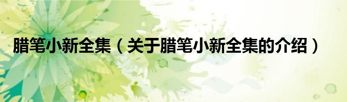 腊笔小新全集（关于腊笔小新全集的介绍）