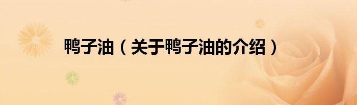 鸭子油（关于鸭子油的介绍）