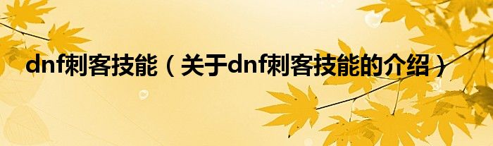 dnf刺客技能（关于dnf刺客技能的介绍）
