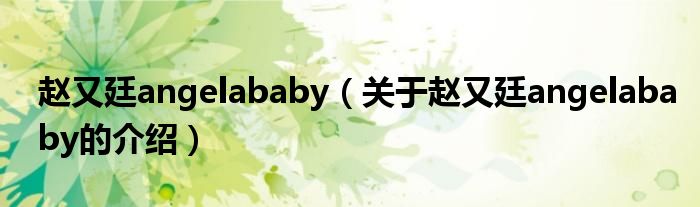 赵又廷angelababy（关于赵又廷angelababy的介绍）