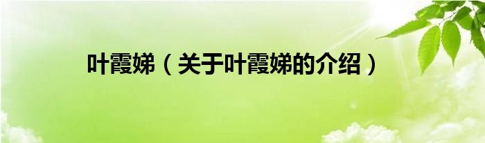 叶霞娣（关于叶霞娣的介绍）