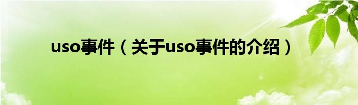 uso事件（关于uso事件的介绍）