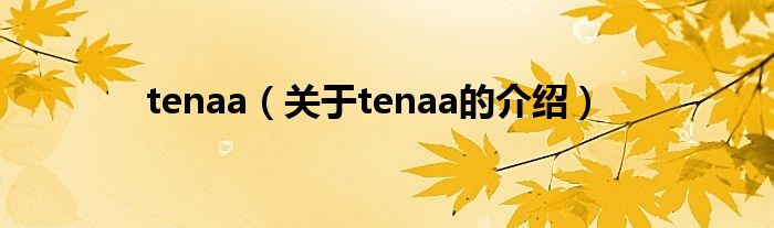 tenaa（关于tenaa的介绍）