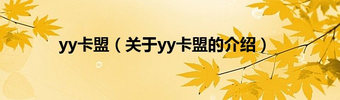 yy卡盟（关于yy卡盟的介绍）