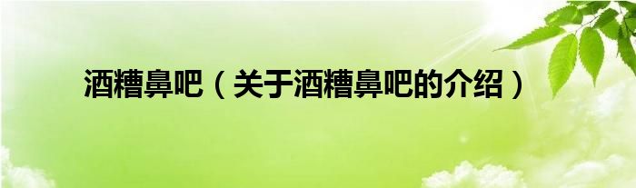 酒糟鼻吧（关于酒糟鼻吧的介绍）