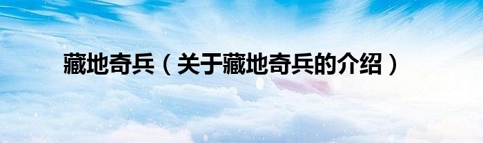 藏地奇兵（关于藏地奇兵的介绍）