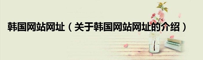 韩国网站网址（关于韩国网站网址的介绍）