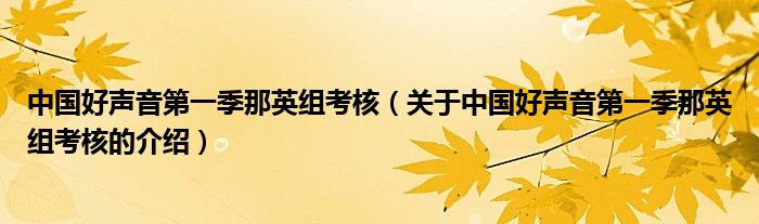 中国好声音第一季那英组考核（关于中国好声音第一季那英组考核的介绍）