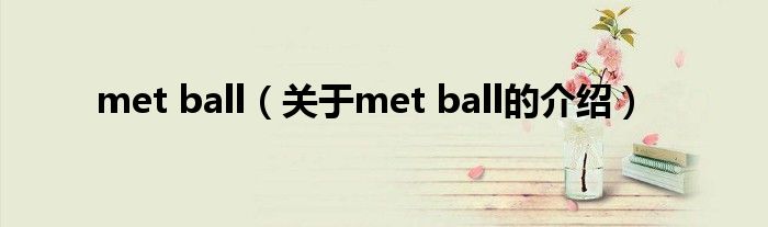 met ball（关于met ball的介绍）