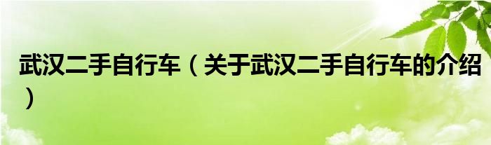 武汉二手自行车（关于武汉二手自行车的介绍）