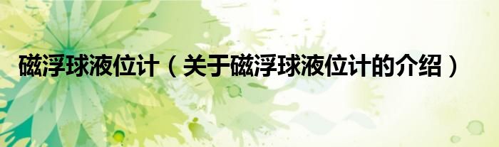 磁浮球液位计（关于磁浮球液位计的介绍）