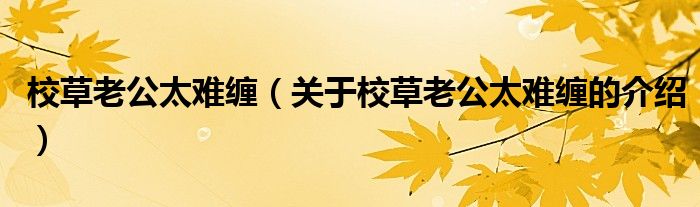 校草老公太难缠（关于校草老公太难缠的介绍）