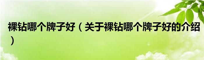 裸钻哪个牌子好（关于裸钻哪个牌子好的介绍）