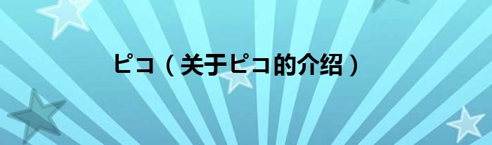ピコ（关于ピコ的介绍）