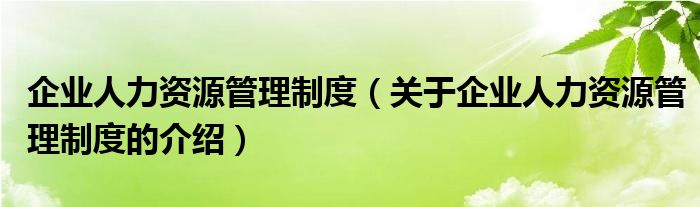 企业人力资源管理制度（关于企业人力资源管理制度的介绍）
