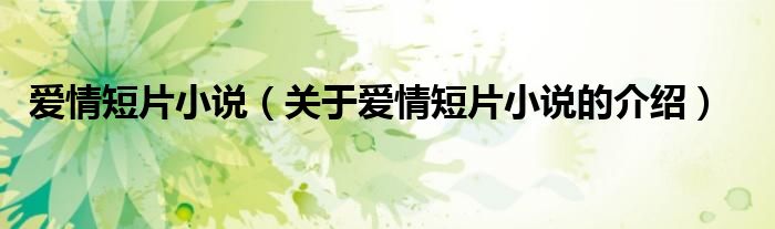 爱情短片小说（关于爱情短片小说的介绍）