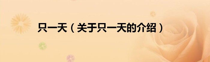 只一天（关于只一天的介绍）