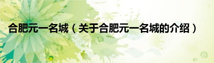 合肥元一名城（关于合肥元一名城的介绍）