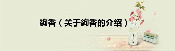 絢香（关于絢香的介绍）