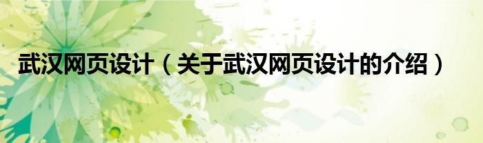 武汉网页设计（关于武汉网页设计的介绍）