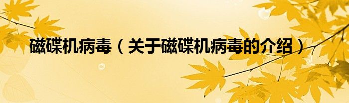 磁碟机病毒（关于磁碟机病毒的介绍）