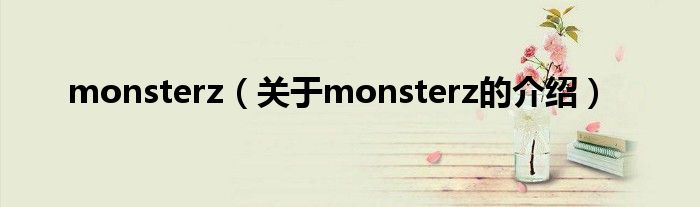 monsterz（关于monsterz的介绍）