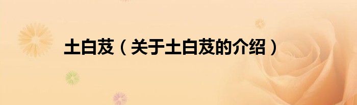 土白芨（关于土白芨的介绍）