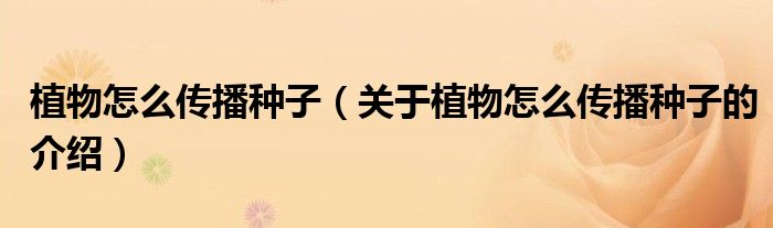 植物怎么传播种子（关于植物怎么传播种子的介绍）