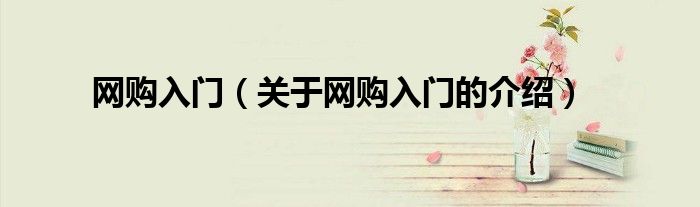 网购入门（关于网购入门的介绍）