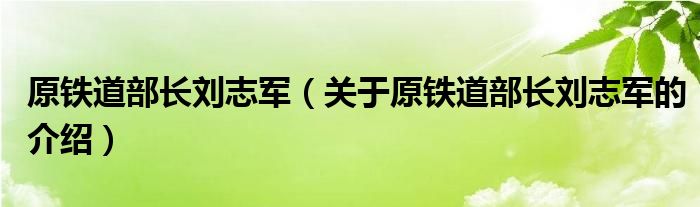 原铁道部长刘志军（关于原铁道部长刘志军的介绍）