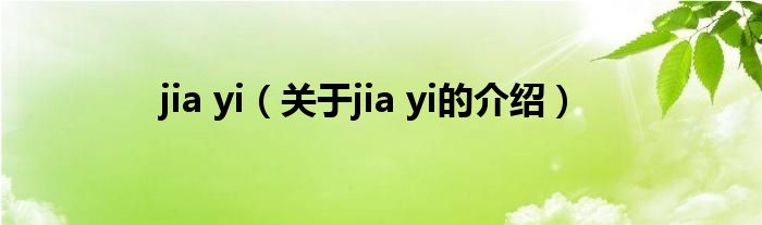 jia yi（关于jia yi的介绍）
