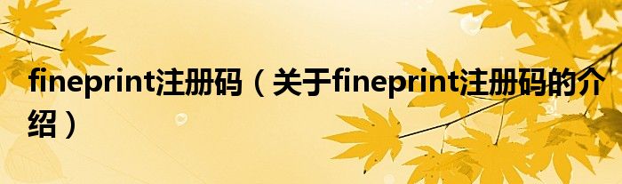 fineprint注册码（关于fineprint注册码的介绍）