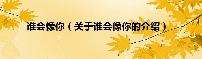 谁会像你（关于谁会像你的介绍）