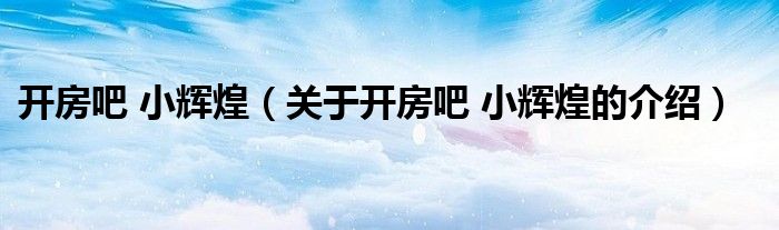 开房吧 小辉煌（关于开房吧 小辉煌的介绍）