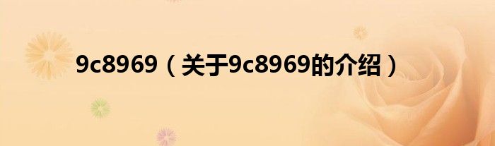 9c8969（关于9c8969的介绍）