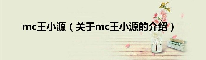 mc王小源（关于mc王小源的介绍）
