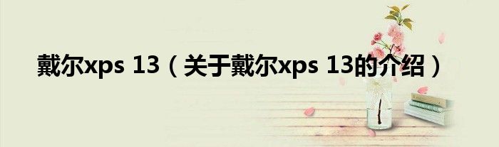 戴尔xps 13（关于戴尔xps 13的介绍）
